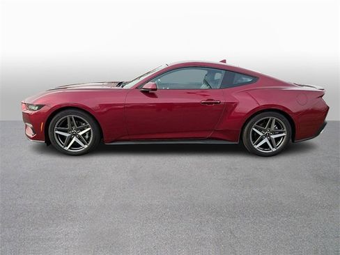 Used 2025 Ford Mustang Premium image 7