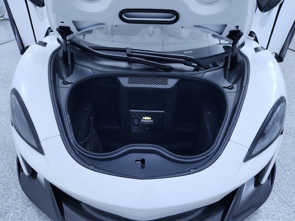 Used 2019 McLaren 600LT RWD image 13