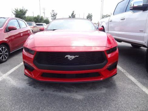 Used 2025 Ford Mustang Premium RWD image 2