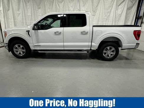 Used 2023 Ford F150 XLT w/ Equipment Group 302A High AWD/4WD image 4