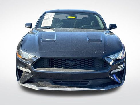 Used 2019 Ford Mustang Coupe RWD image 3