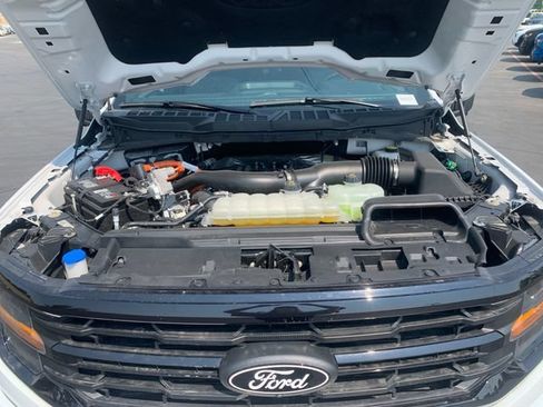 Used 2024 Ford F150 XLT w/ Equipment Group 303A High AWD/4WD image 24