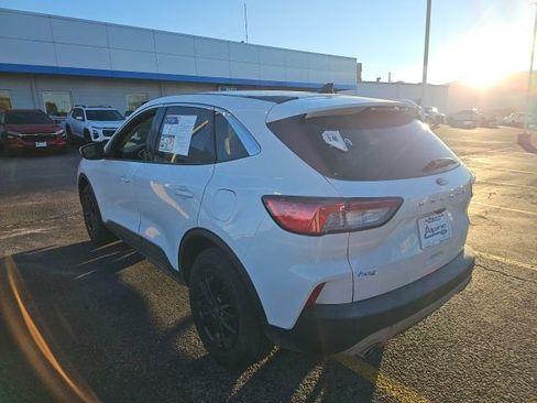 Used 2020 Ford Escape SE image 7