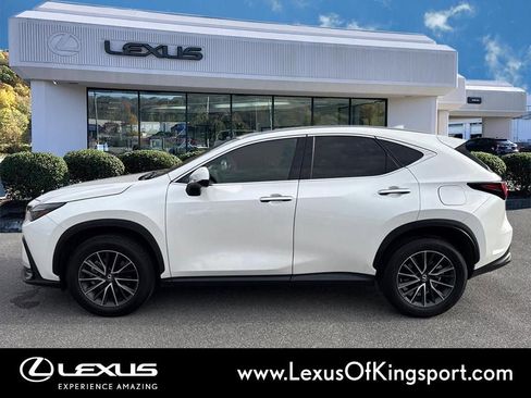 Used 2025 Lexus NX 250 FWD w/ Cold Area Package image 2