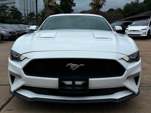 Used 2019 Ford Mustang Coupe w/ Equipment Group 101A RWD image 2