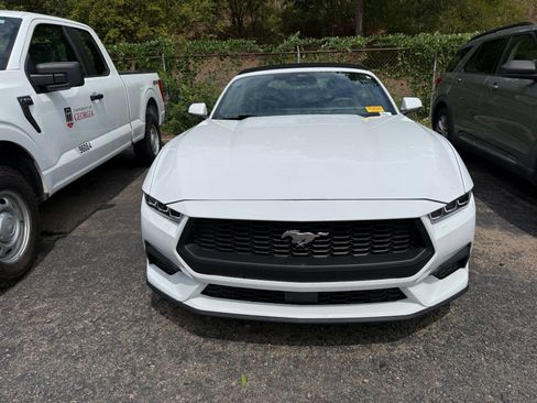 Used 2024 Ford Mustang Premium RWD image 2