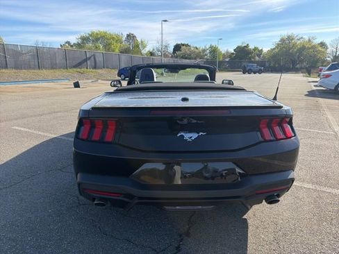 Used 2025 Ford Mustang Premium image 4