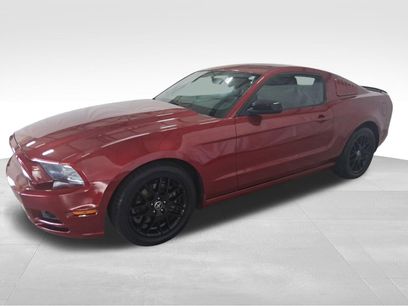 Used 2014 Ford Mustang Coupe w/ Equipment Group 102A