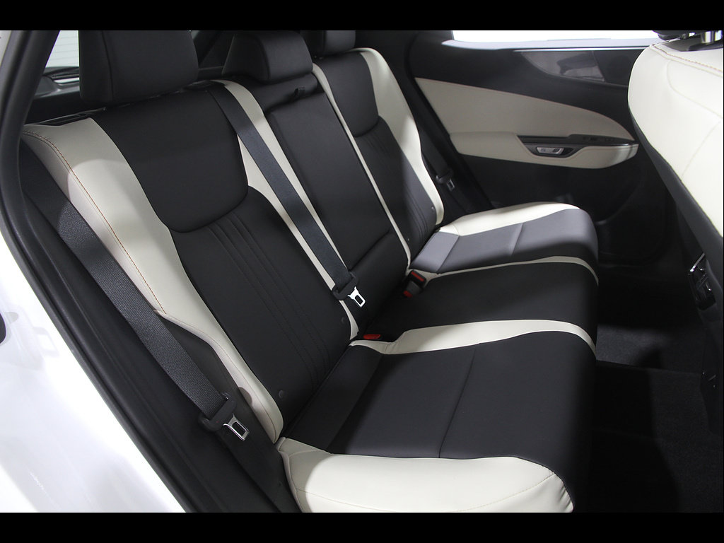 Certified 2024 Lexus NX 350h AWD w/ Cold Area Package image 18