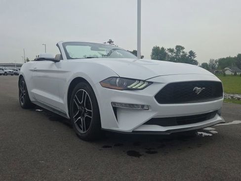 Used 2019 Ford Mustang Premium RWD image 2