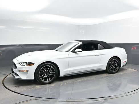 Used 2023 Ford Mustang Premium w/ Equipment Group 201A RWD image 7
