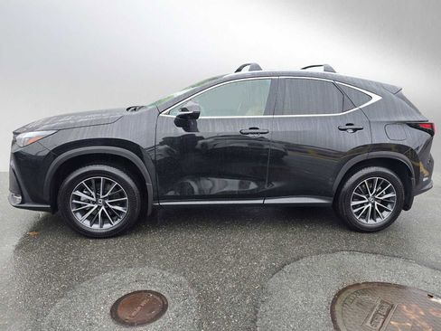 Used 2025 Lexus NX 350h AWD w/ Premium Package image 6