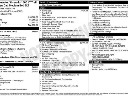 Used 2024 Chevrolet Silverado 1500 LT Trail Boss w/ Protection Package image 31
