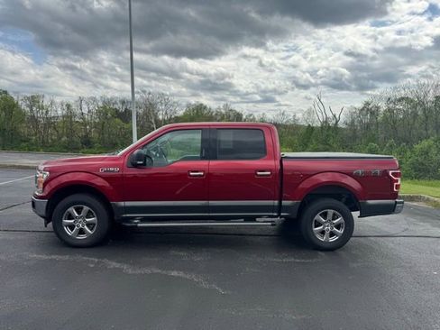 Used 2019 Ford F150 XLT w/ Equipment Group 302A Luxury image 6