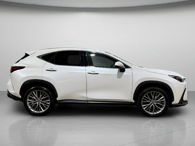 Certified 2025 Lexus NX 350h AWD w/ Cold Area Package image 2