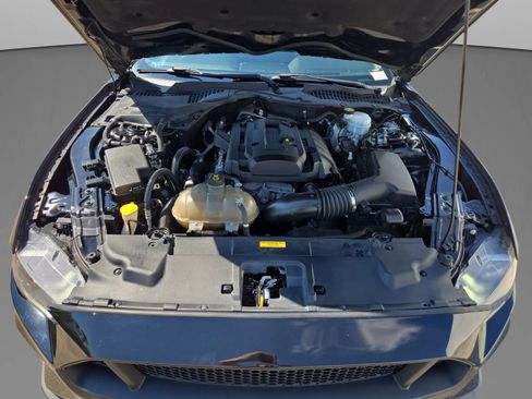 Used 2019 Ford Mustang Coupe RWD image 36