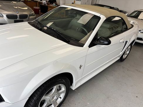 Used 2003 Ford Mustang Deluxe RWD image 3