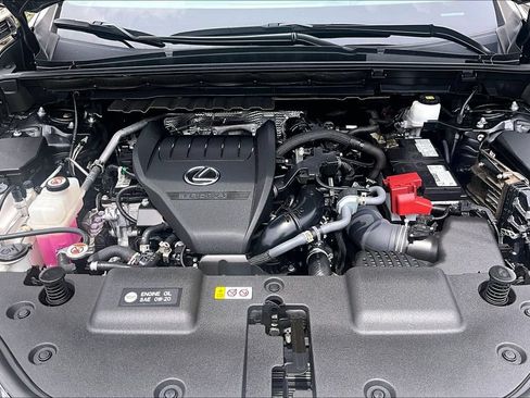 Used 2024 Lexus NX 350 F Sport AWD/4WD image 13