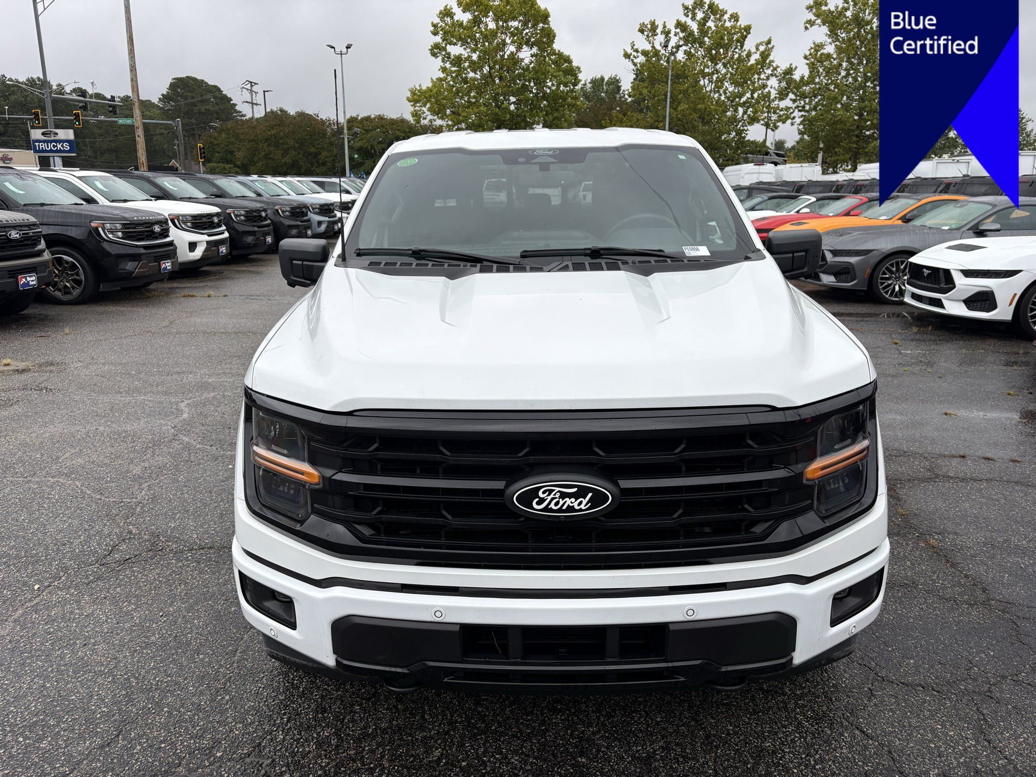 Used 2024 Ford F150 XLT w/ Equipment Group 302A MID AWD/4WD image 2