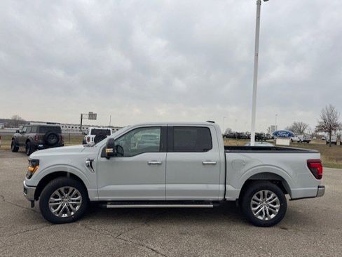 Certified 2024 Ford F150 XLT w/ Equipment Group 303A High image 5