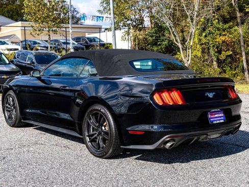 Used 2017 Ford Mustang Premium RWD image 4