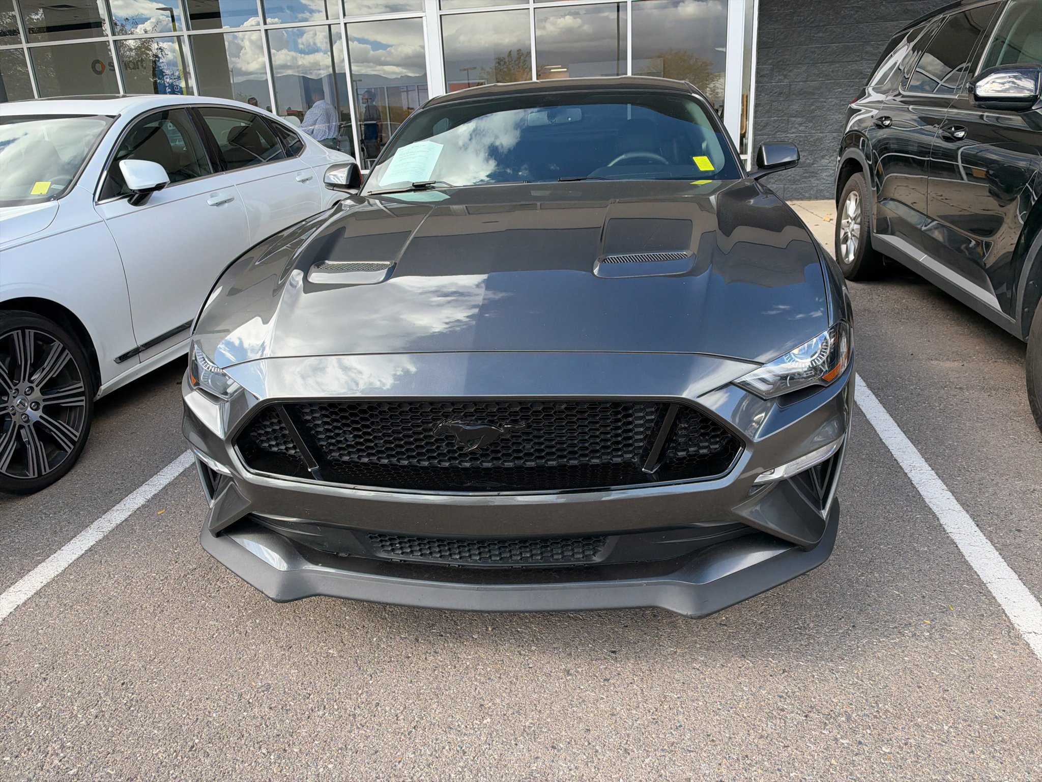 Used 2019 Ford Mustang GT Premium w/ GT Performance Package RWD image 2
