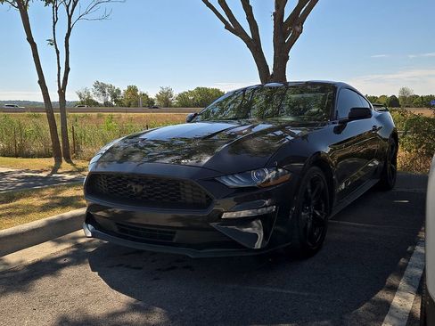 Used 2022 Ford Mustang Premium w/ Equipment Group 201A RWD image 1