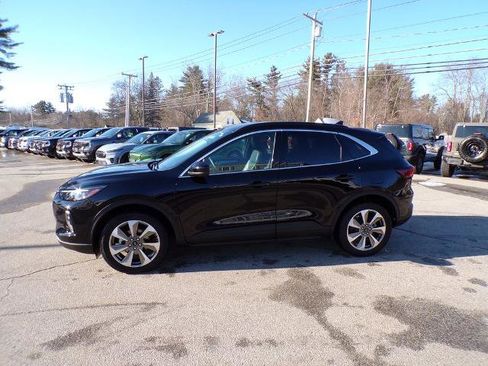 Certified 2025 Ford Escape Platinum image 4