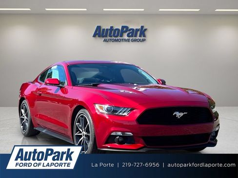 Used 2017 Ford Mustang Coupe w/ Wheel & Stripe Package RWD image 1