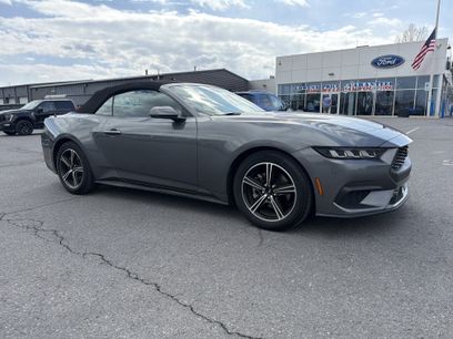 Used 2025 Ford Mustang Premium