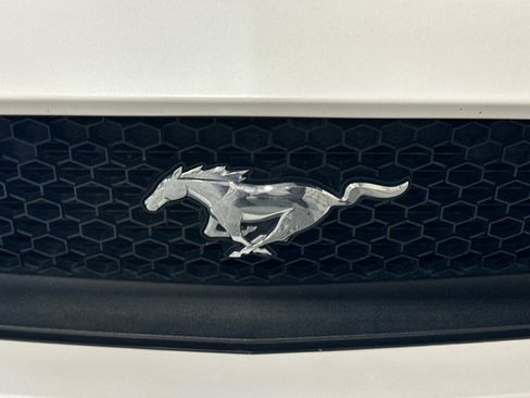 Used 2017 Ford Mustang GT Premium w/ Equipment Group 401A RWD image 43