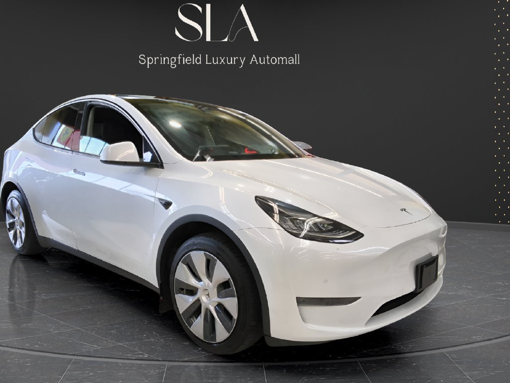 Used 2020 Tesla Model Y Long Range AWD/4WD image 1
