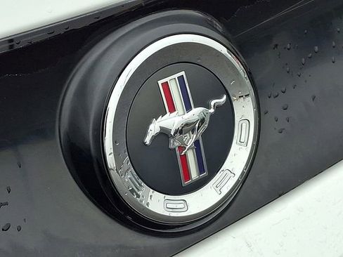 Used 2014 Ford Mustang Premium image 10