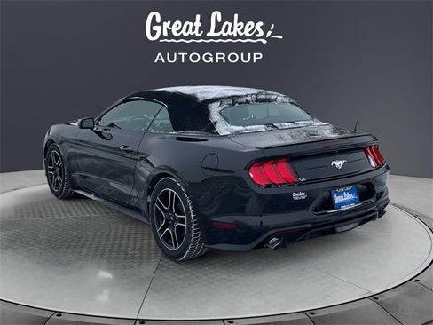 Used 2018 Ford Mustang Premium w/ Equipment Group 201A image 3