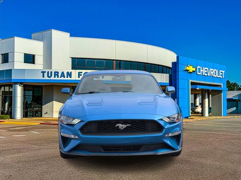 Used 2019 Ford Mustang Premium image 9