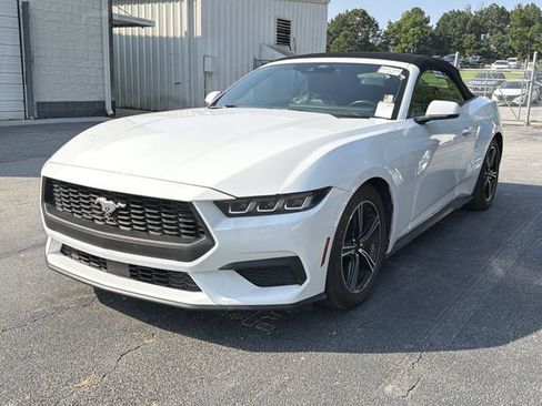 Used 2024 Ford Mustang Premium RWD image 1
