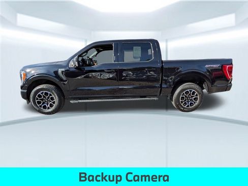 Used 2023 Ford F150 XLT w/ Equipment Group 302A High image 2