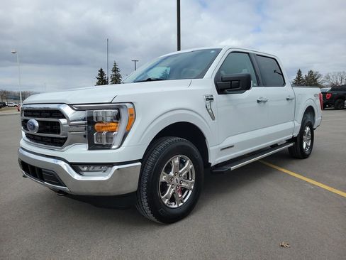 Used 2023 Ford F150 XLT w/ Equipment Group 302A High AWD/4WD image 2