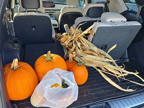 Used 2023 Hyundai Palisade Calligraphy image 9