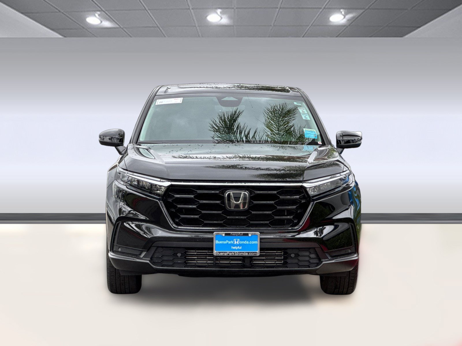 Used 2025 Honda CR-V EX-L image 6