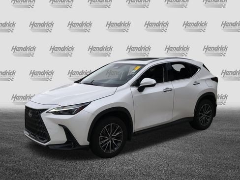 Used 2024 Lexus NX 350h AWD image 5