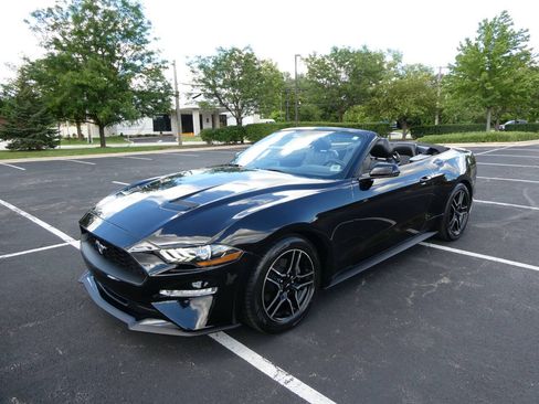 Used 2019 Ford Mustang Premium RWD image 9