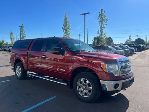 Used 2014 Ford F150 XLT w/ Equipment Group 302A Luxury AWD/4WD image 3