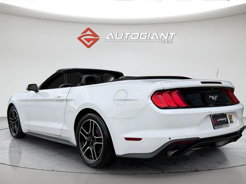 Used 2019 Ford Mustang Premium RWD image 7