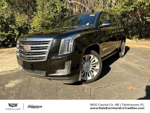 Used 2019 Cadillac Escalade Platinum image 1