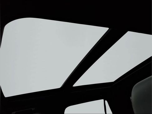 Used 2024 Ford Expedition Max Platinum image 23