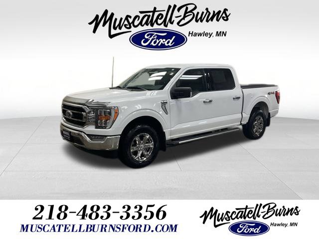 Used 2023 Ford F150 XLT w/ Equipment Group 302A High AWD/4WD image 1