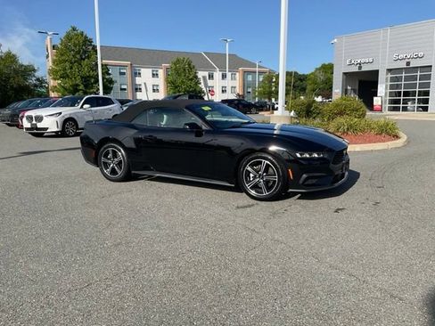 Used 2024 Ford Mustang Premium RWD image 1