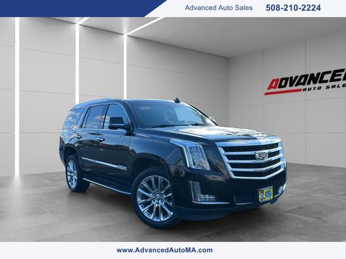Used 2019 Cadillac Escalade Luxury AWD/4WD image 1