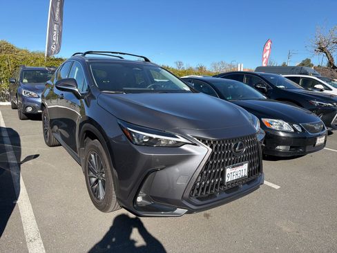 Used 2025 Lexus NX 350 AWD w/ Cold Area Package image 1